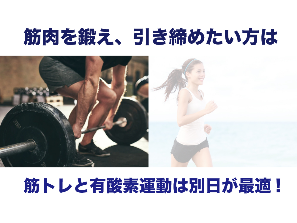 つくばのジムが解説。体を大きくしたり、引き締めたい方は筋トレと有酸素運動は別日がおすすめ